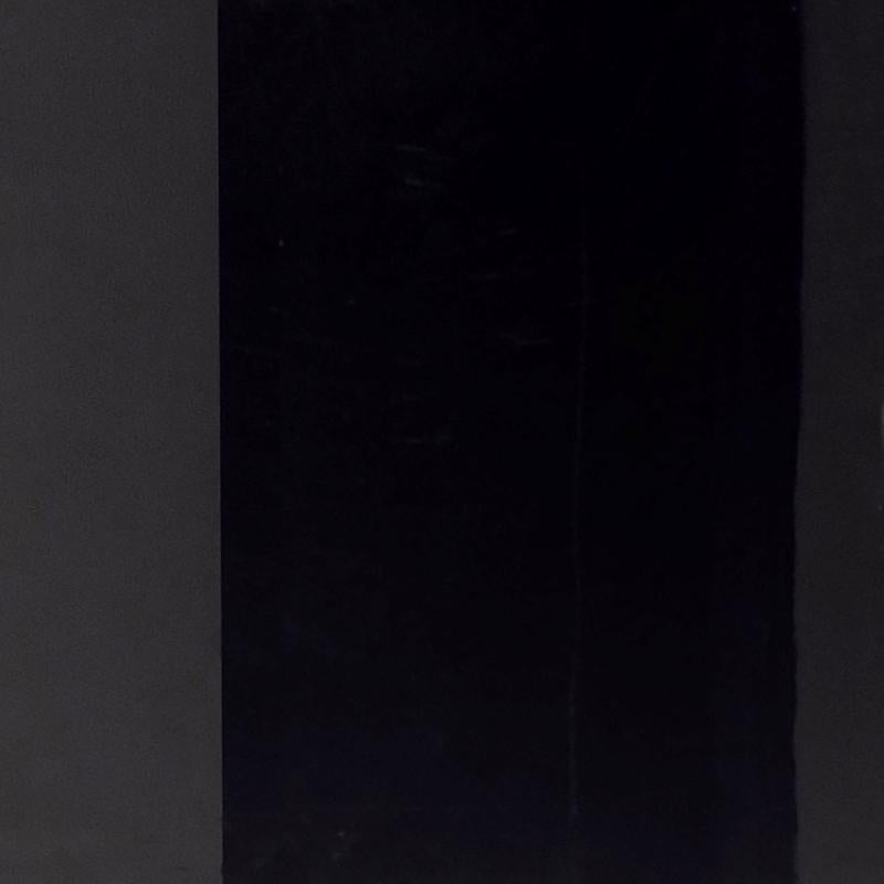 Rust-Oleum Imagine Smooth Chrome Black Spray Paint 10 oz