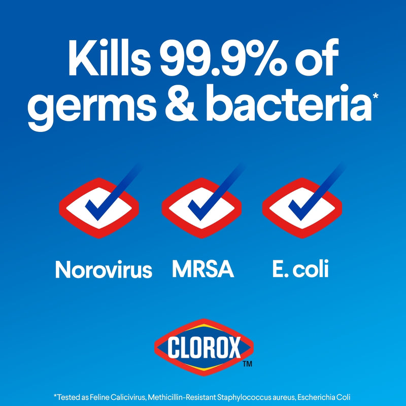 Clorox Regular Scent Germicidal Bleach 81 oz