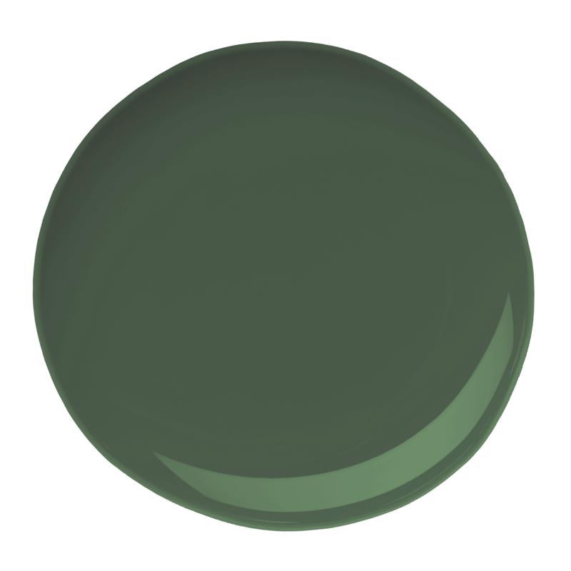 Beyond Paint Matte Forest Green Water-Based Paint Exterior and Interior 1 pt