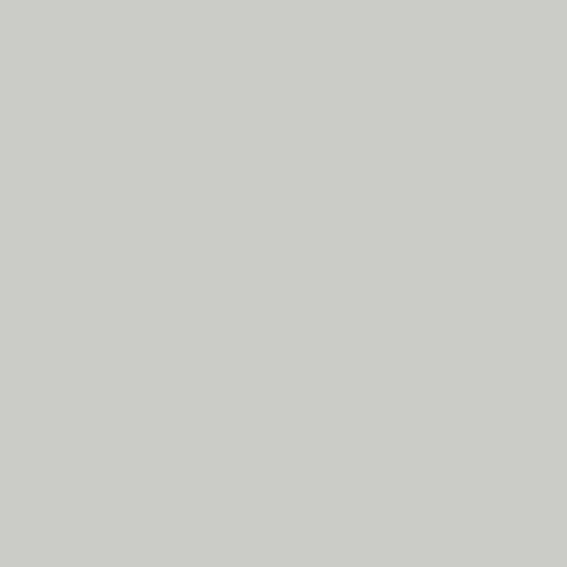 Samplize Benjamin Moore Stonington Gray Peel & Stick Color Sample HC-170