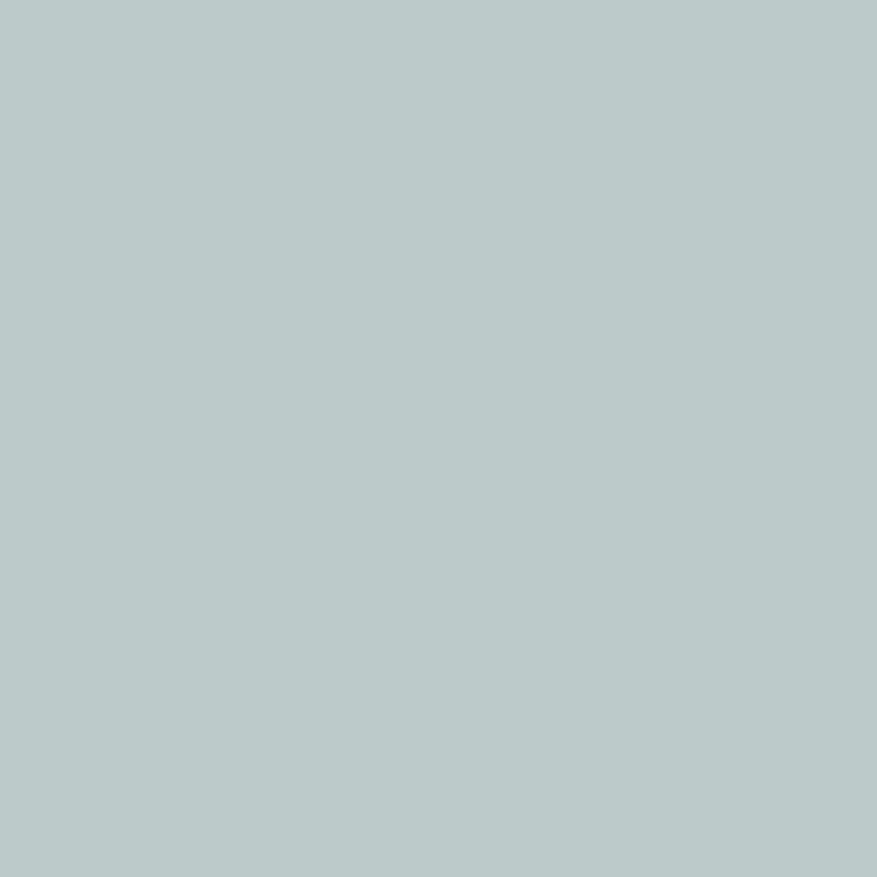 Samplize Benjamin Moore Smoke Peel & Stick Color Sample 2122-40