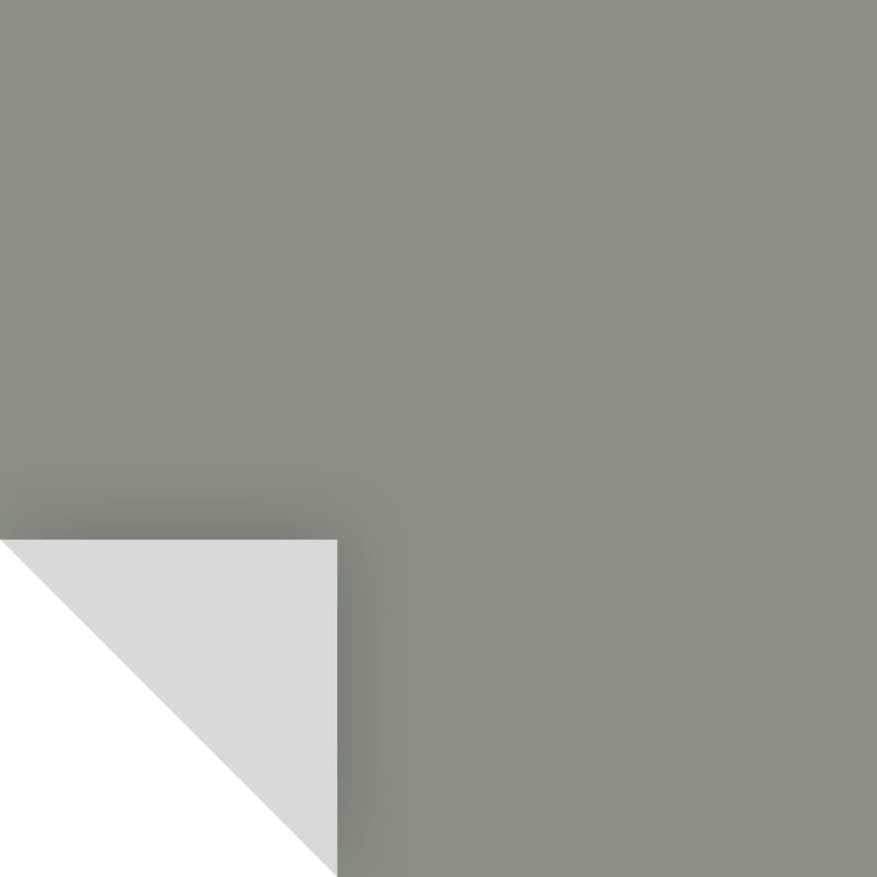 PEEL&STICK CAROLINA GULL