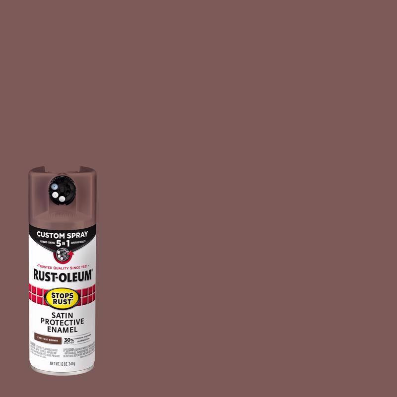 SPRY PAINT STN CHSN 12OZ