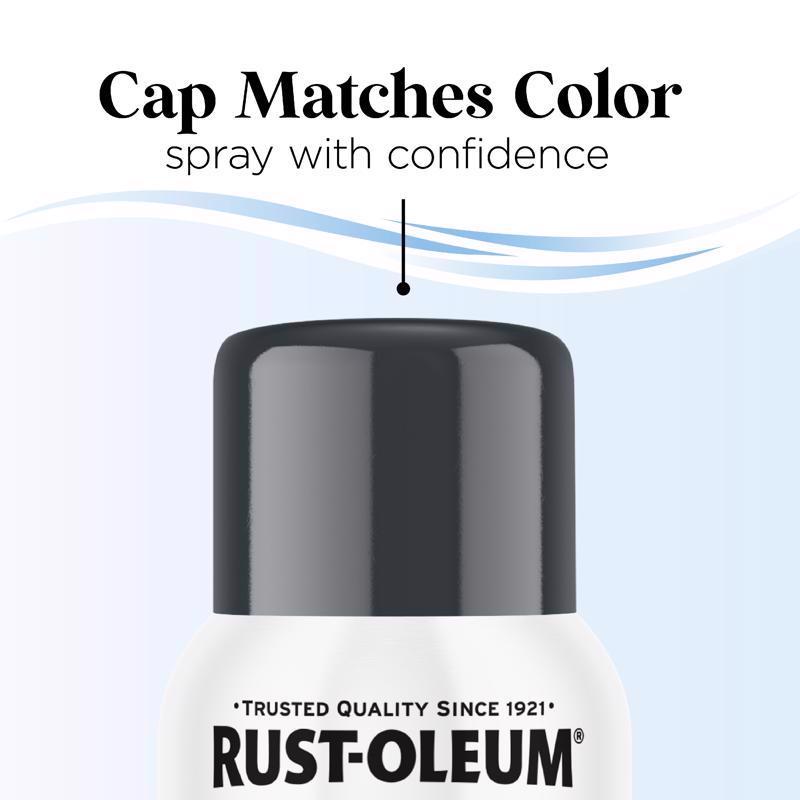 Rust-Oleum Low Odor Gloss Anchor Gray Spray Paint 11 oz