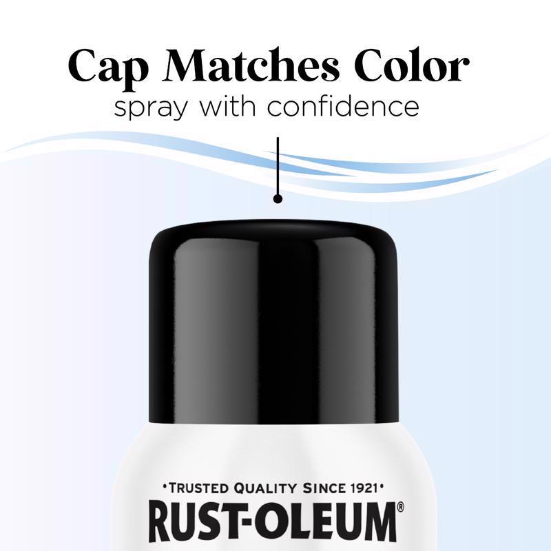 Rust-Oleum Low Odor Gloss Blackout Spray Paint 11 oz