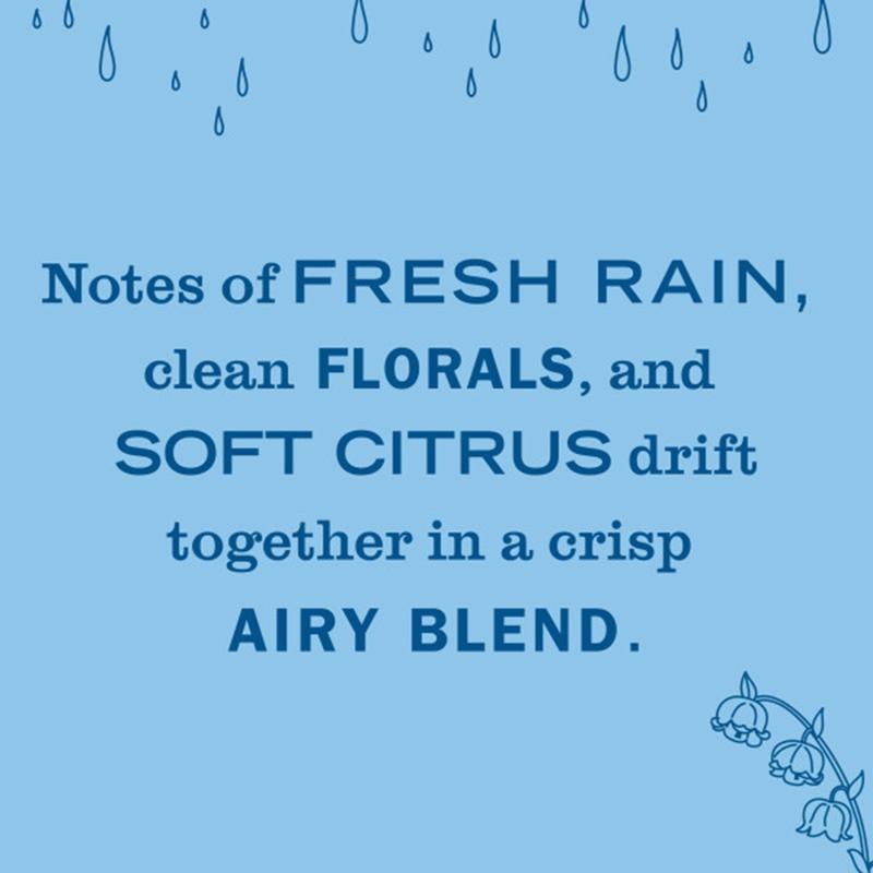 Mrs. Meyer's Clean Day Rain Water Scent Air Freshener Oil Refill 0.67 oz Liquid 1 pk