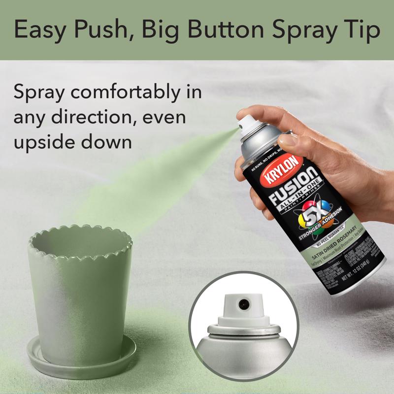 Krylon Fusion All-In-One Satin Dried Rosemary All-In-One Spray Paint 12 oz