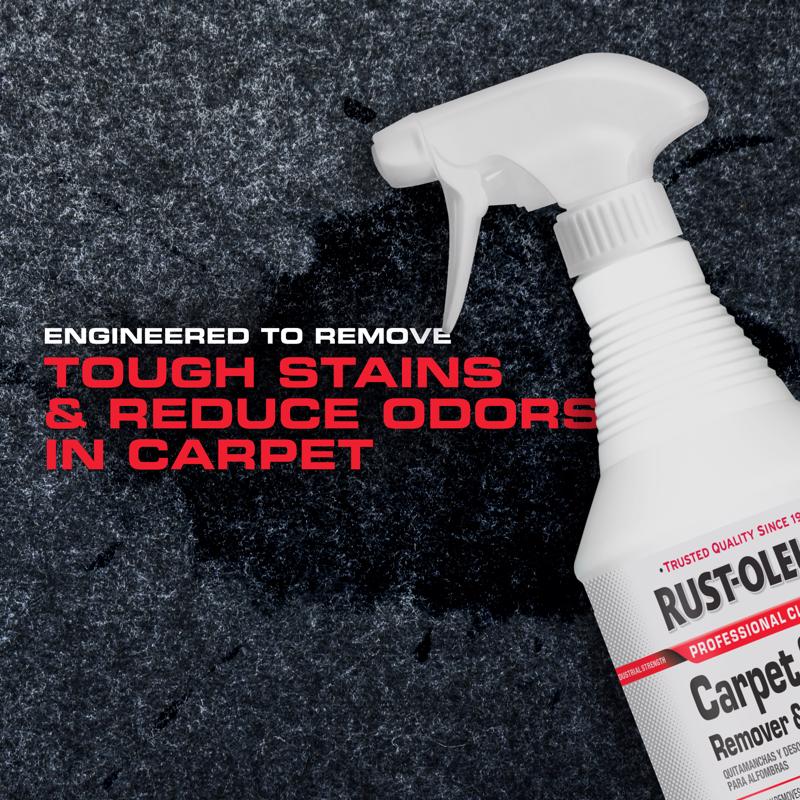 Rust-Oleum Professional Cleaners Citrus Scent Carpet Stain Remover 32 oz Spray