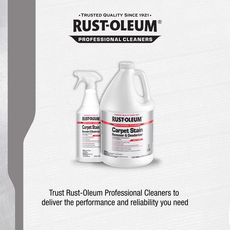 Rust-Oleum Professional Cleaners Citrus Scent Carpet Stain Remover 32 oz Spray