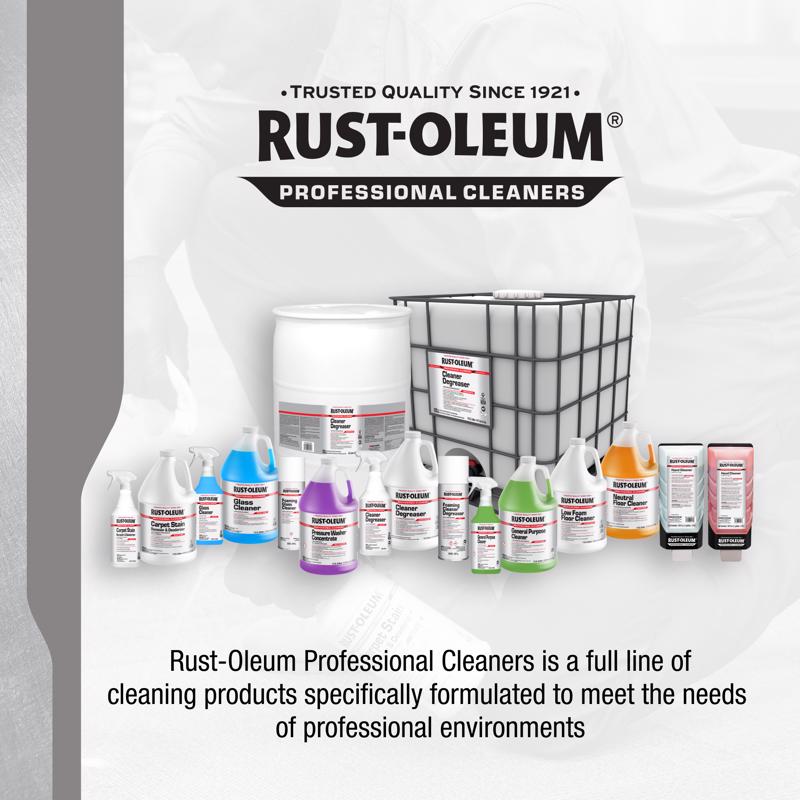 Rust-Oleum Professional Cleaners Citrus Scent Carpet Stain Remover 32 oz Spray