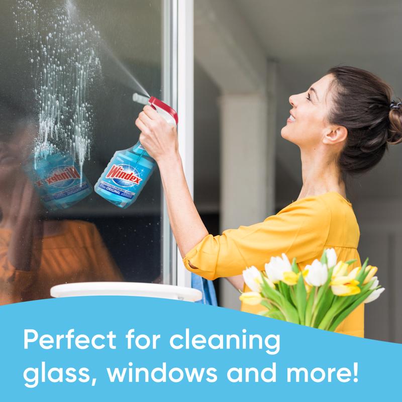 Windex Original No Scent Commercial Window Cleaner 32 oz Liquid