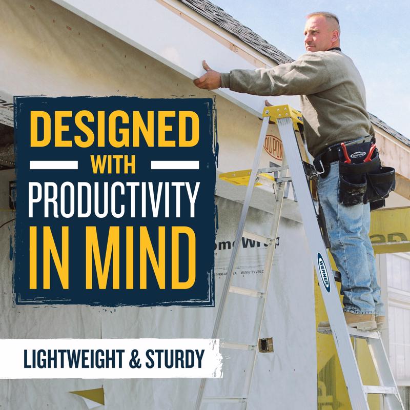 Werner 4 ft. H Aluminum Step Ladder Type I 250 lb. capacity