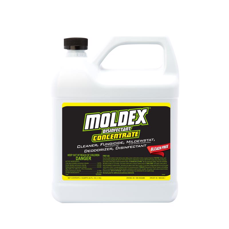 MOLDEX DISINFECTANT 64OZ