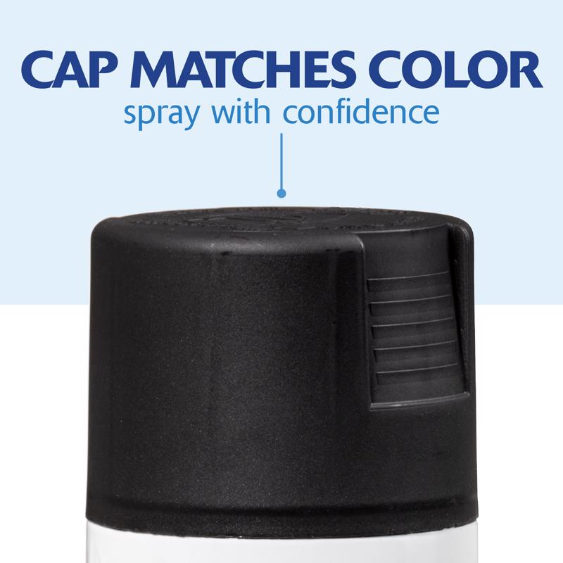 Rust-Oleum Painter's Touch 2X Ultra Cover Satin Canyon Black Paint+Primer Spray Paint 12 oz