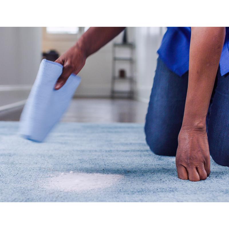 Zep No Scent Spot Remover 19 oz Foam