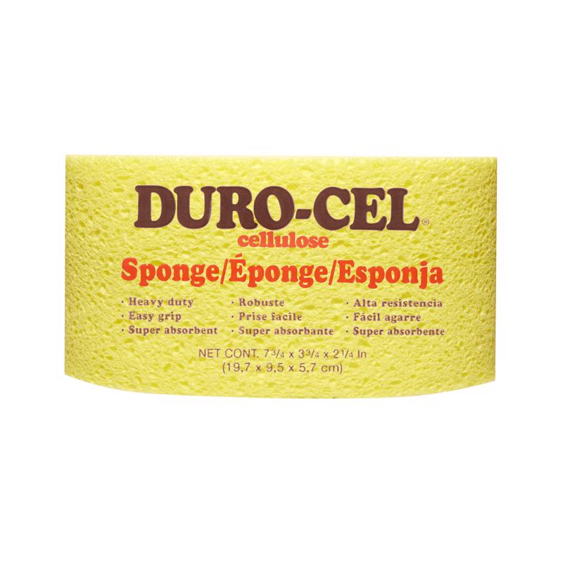 SPONGE TURTLBACK HD