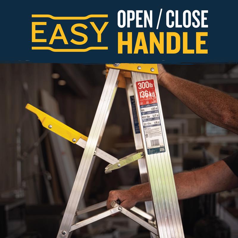 Werner 3 ft. H Aluminum Step Ladder Type IA 300 lb. capacity