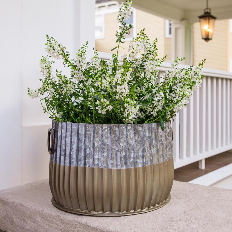 Krylon Fusion All-In-One Metallic Gold Paint+Primer Spray Paint 12 oz