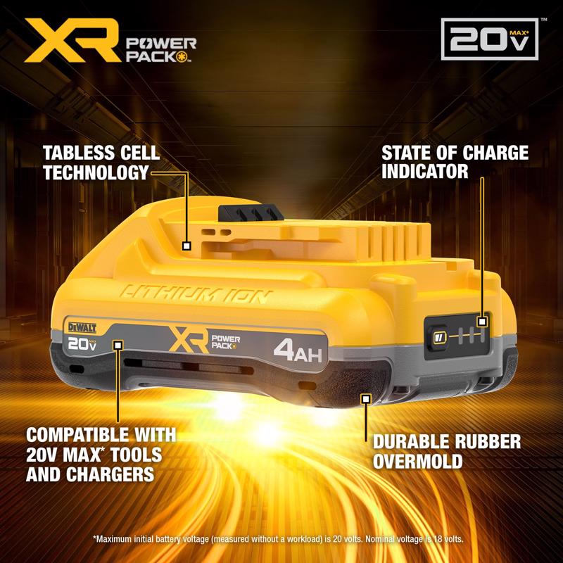 DeWalt 20V MAX DCB224-2 Lithium-Ion Battery Pack 2 pc