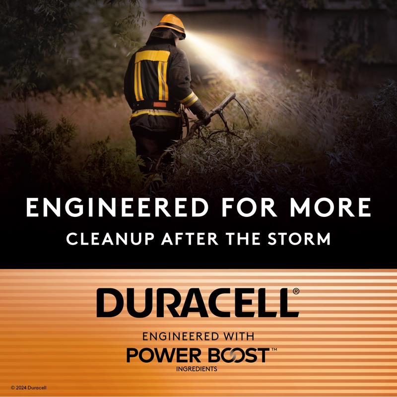 Duracell Power Boost AAA Alkaline Batteries 8 pk Carded