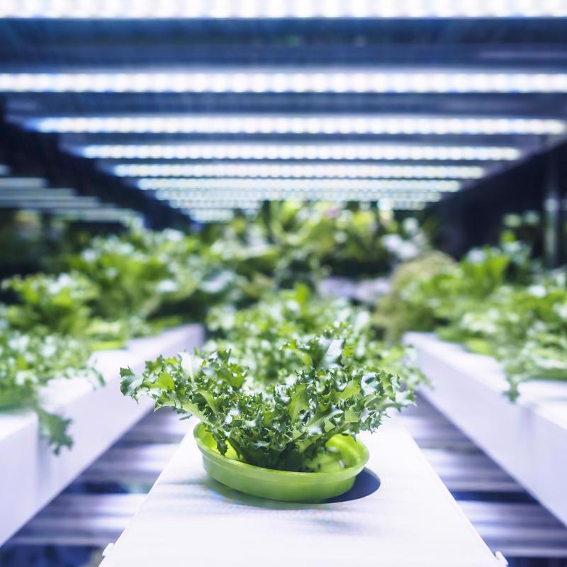 Feit Grow Fixtures Hydroponic Grow Light 19 W LED