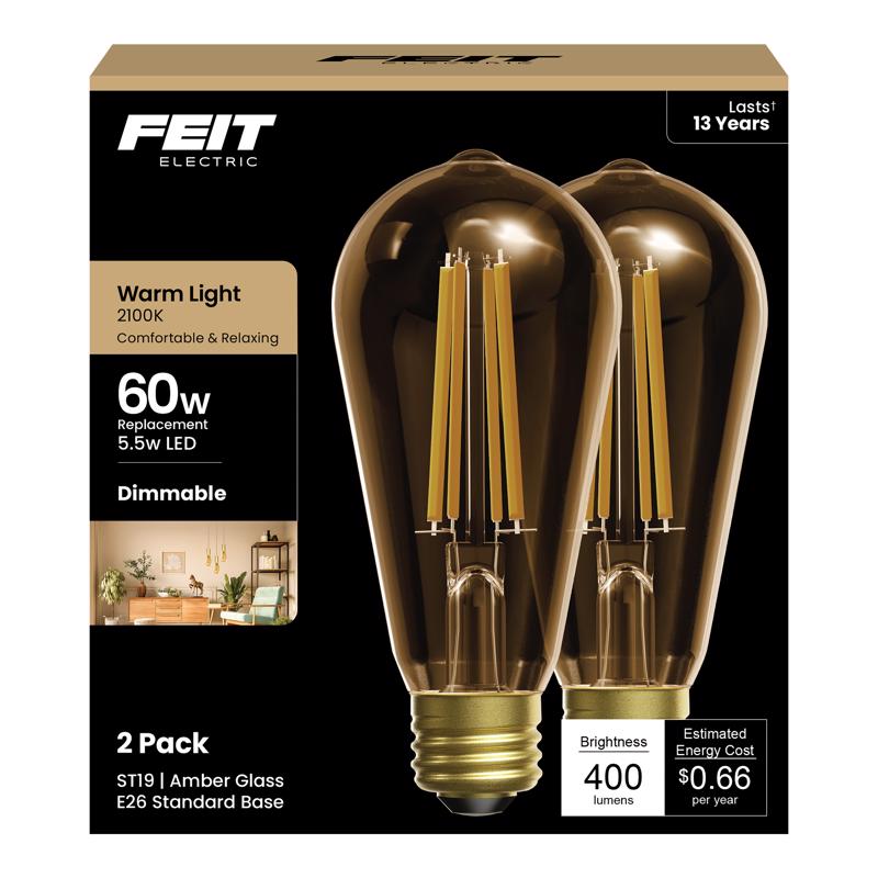 FT LED ST19 AMB 60W 2PK