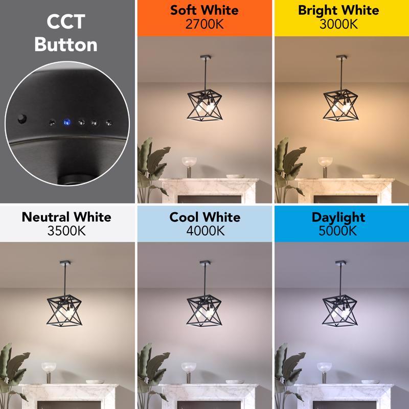 Feit Matte Black 4 lights Pendant Light