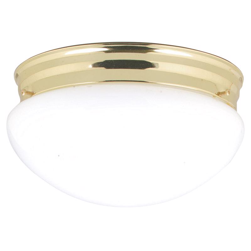 CEILNG LGT WH 8.88X4.75"
