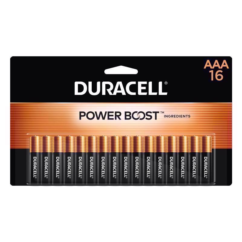 BATTERY ALKALINE AAA16PK