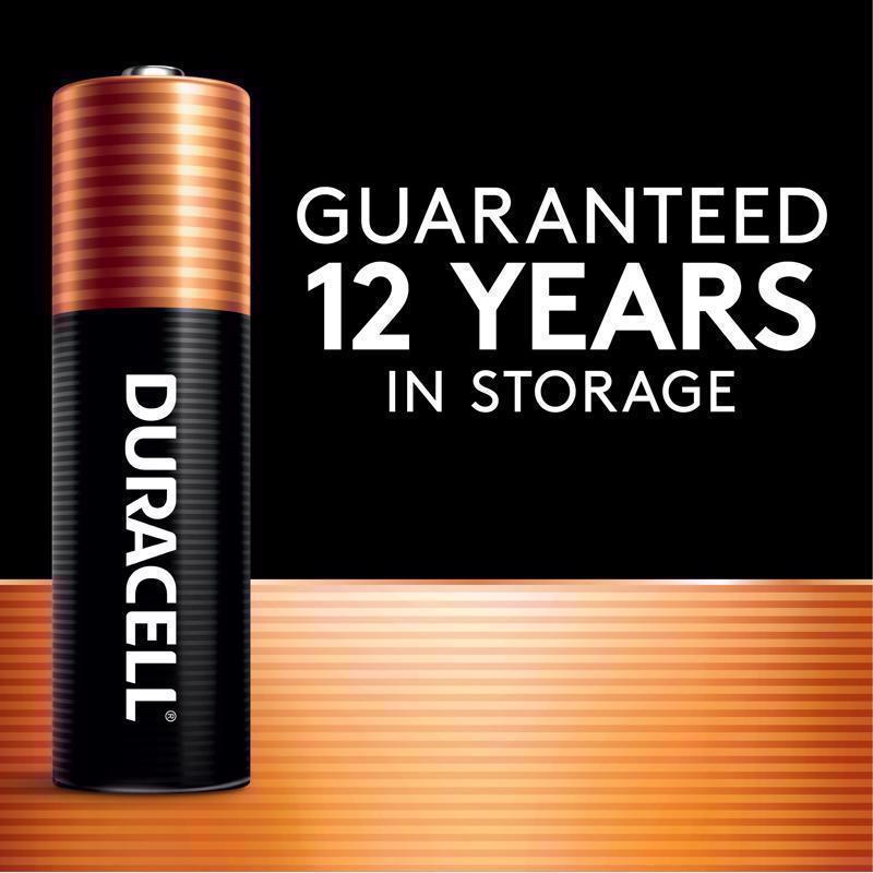 Duracell Coppertop AA Alkaline Batteries 10 pk Carded
