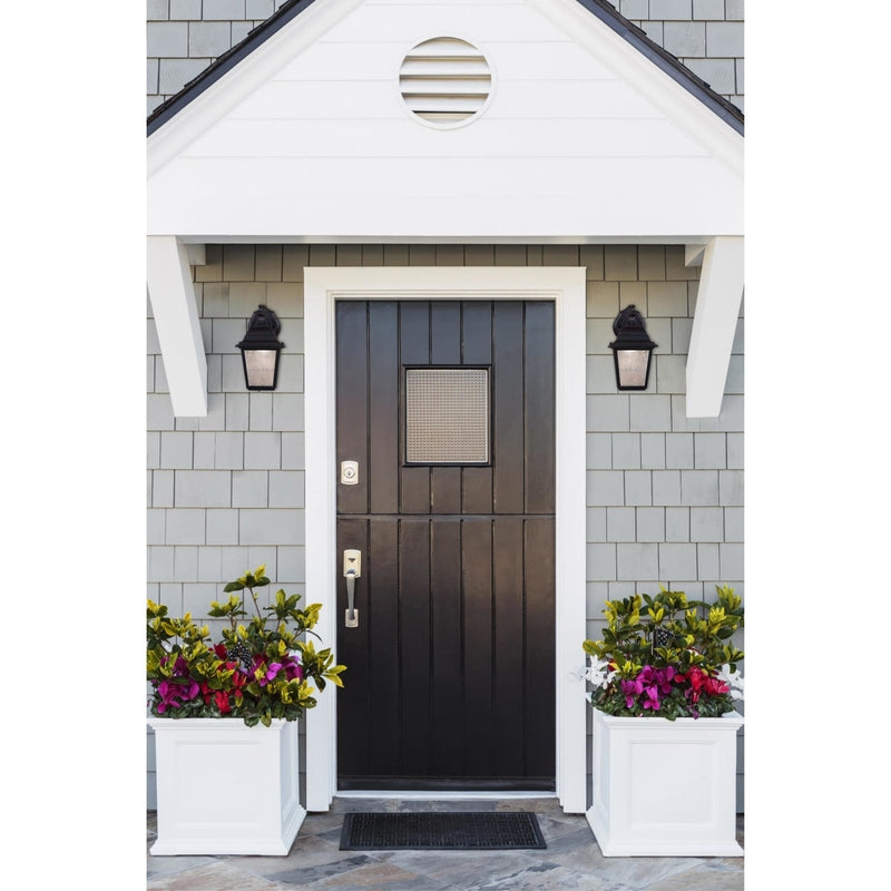 Westinghouse Matte Switch LED Lantern Fixture