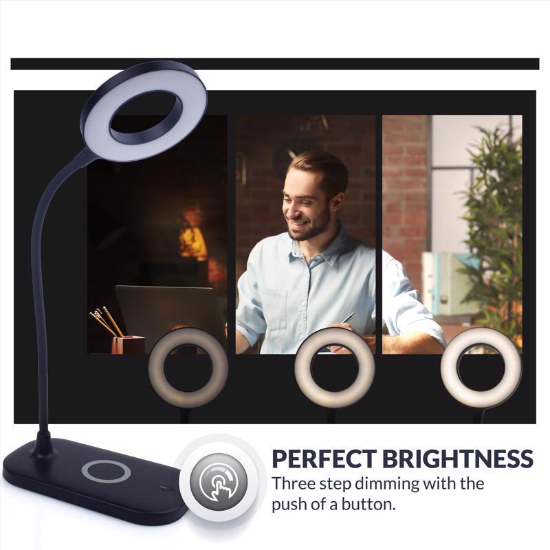 Newhouse Lighting Zlata 12 in. Black Desk Lamp