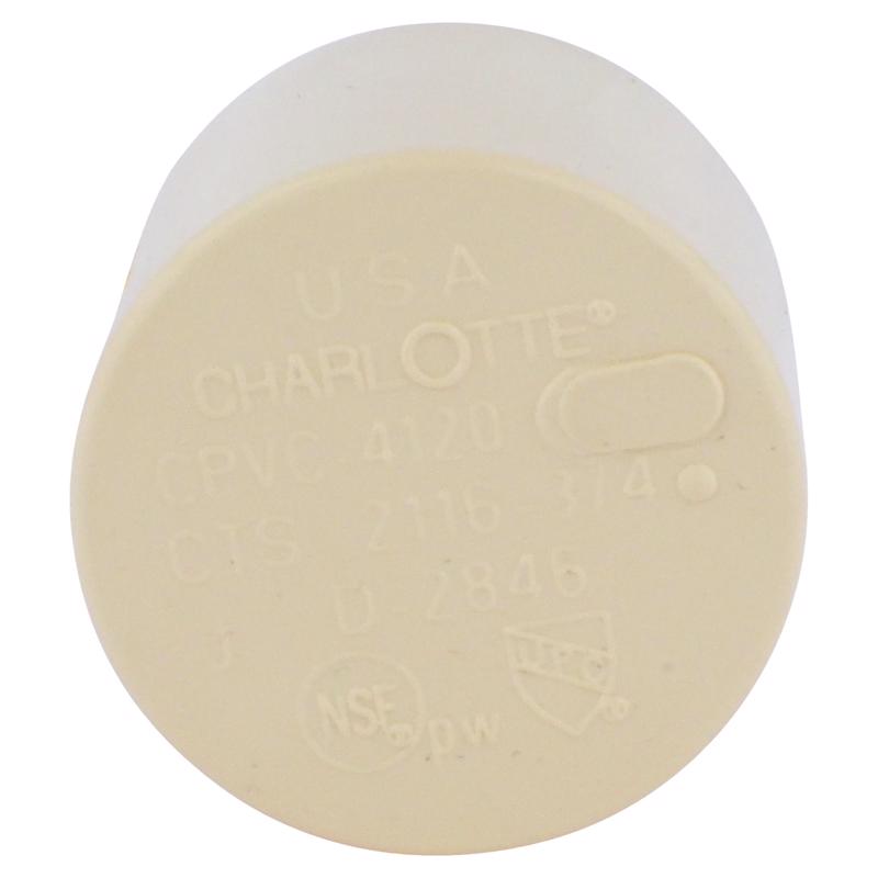 Charlotte Pipe FlowGuard 3/4 in. Hub CPVC Cap 1 pk
