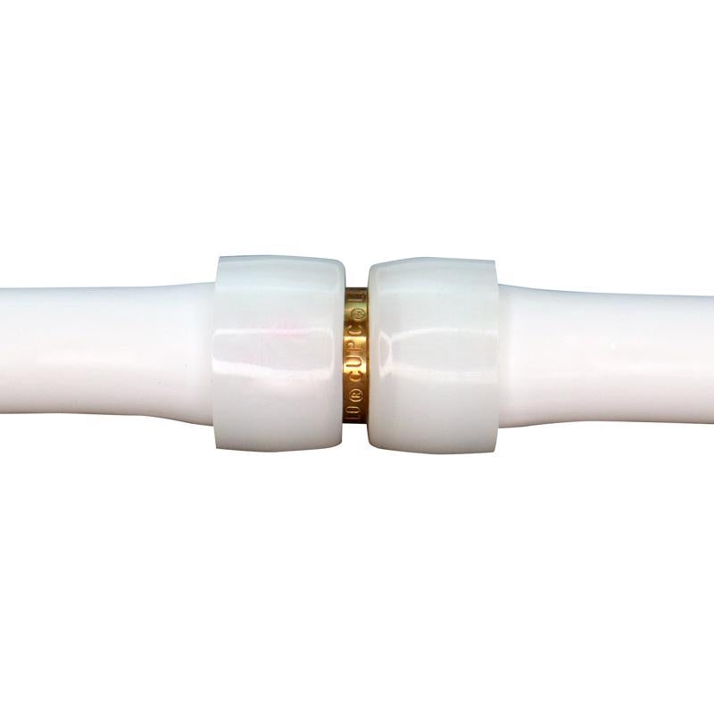 Apollo 1/2 in. Expansion PEX in to X 1/2 in. D Barb Brass Straight Coupling
