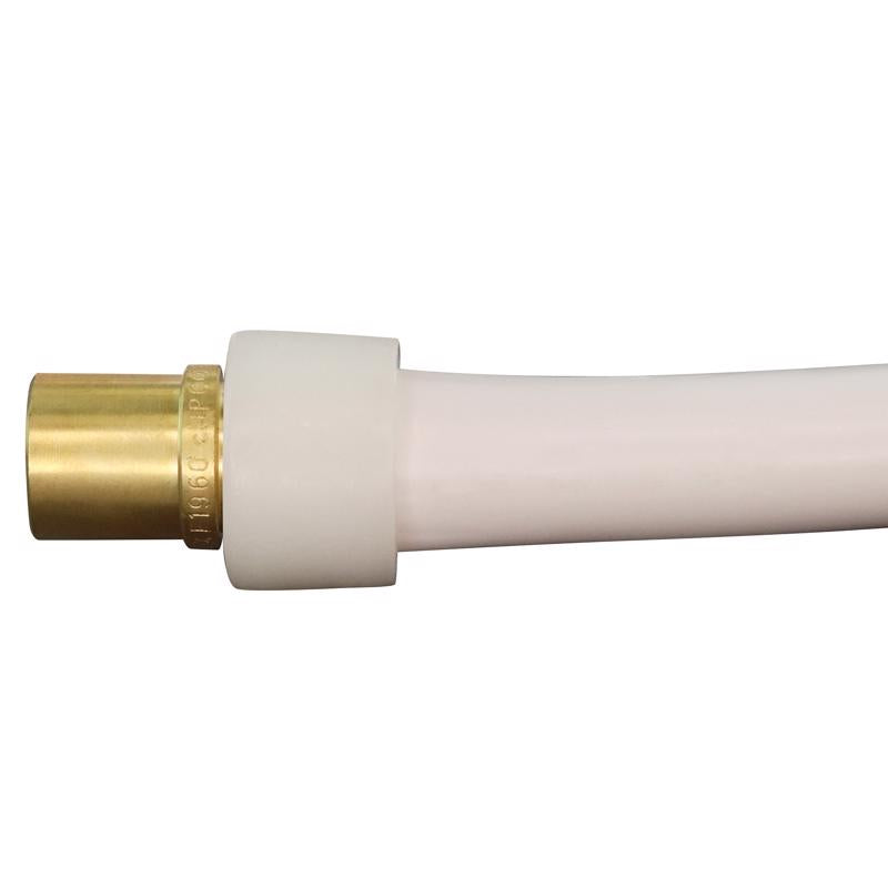 Apollo PEX-A 3/4 in. PEX Barb in to X 3/4 in. D Sweat Brass Male Adapter