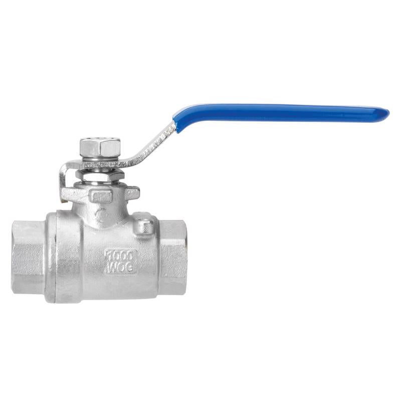 Homewerks Worldwide 1/4 in. Stainless Steel FPT Ball Valve Full Port Lever
