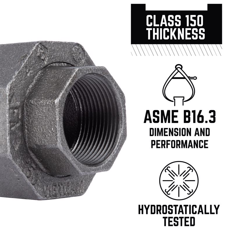 STZ Industries 1-1/4 in. FIP each X 1-1/4 in. D FIP Black Malleable Iron Union