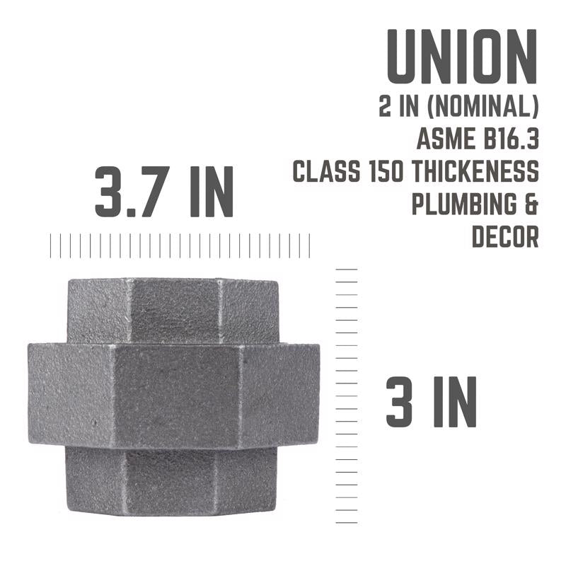 STZ Industries 2 in. FIP each X 2 in. D FIP Black Malleable Iron Union