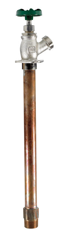 WALL HYDRNT MALE 3/4X10"