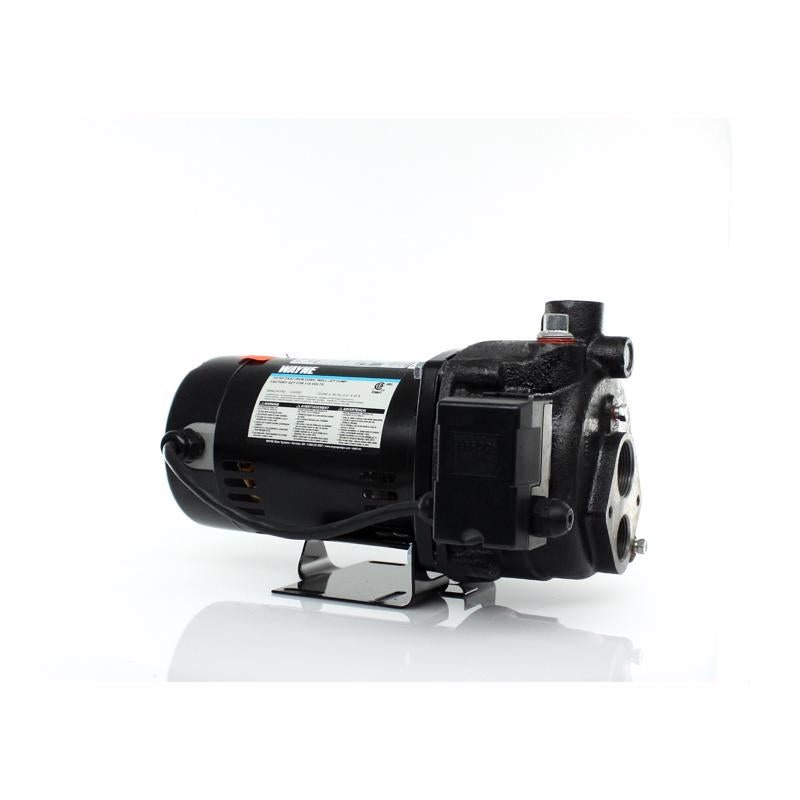 Wayne 1/2 HP 900 gph Cast Iron Convertible Jet Well Pump