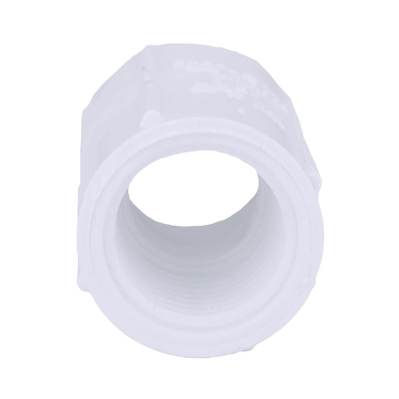 Charlotte Pipe Schedule 40 1/2 in. FPT X 1/2 in. D FPT PVC Coupling 1 pk