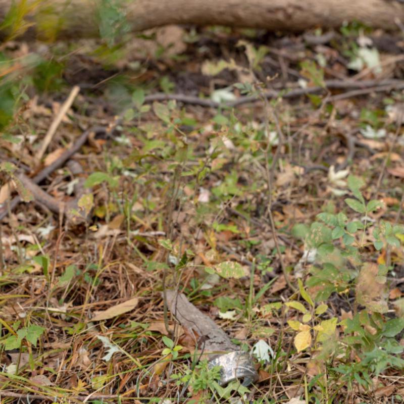 Duck 1.88 in. W X 10 yd L Multicolored Camouflage Duct Tape