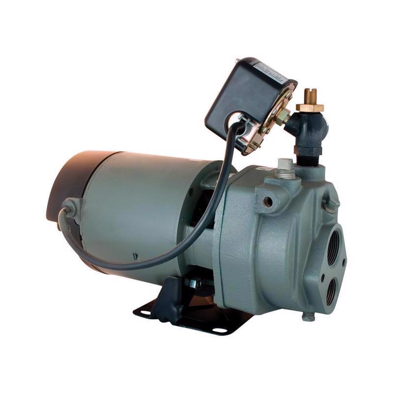 JET PUMP CNVRTBL 3/4HP