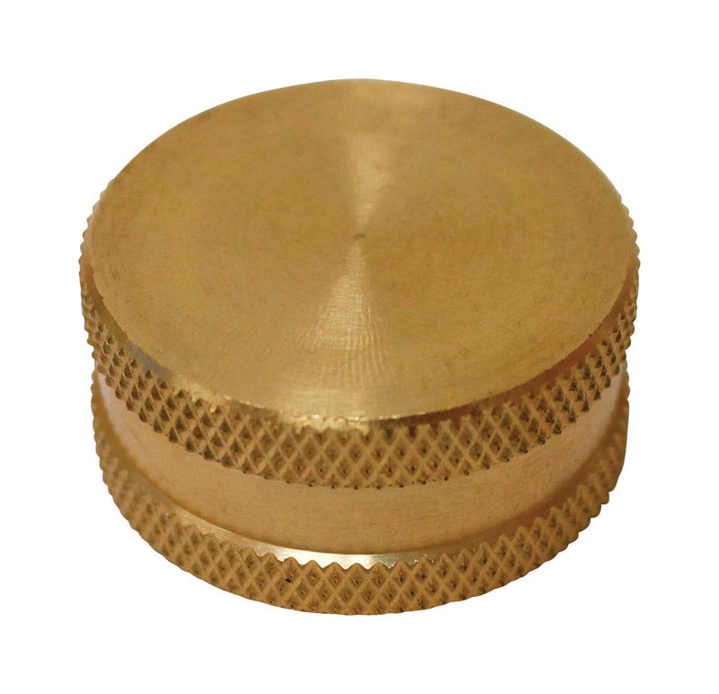 HOSE CAP W/WASHER 3/4"