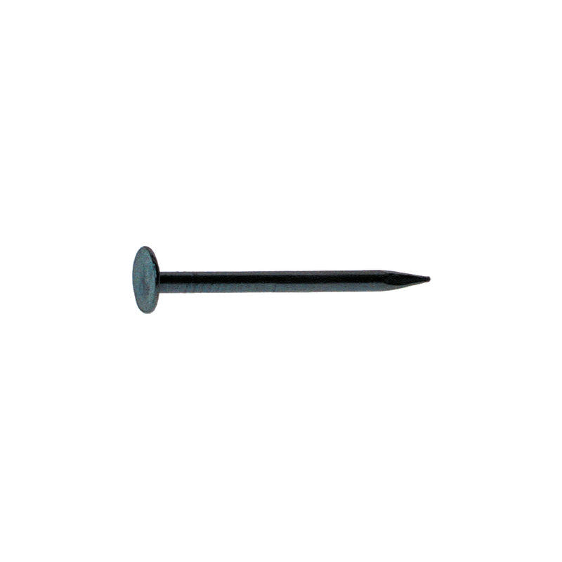 NAIL DRYWL 1.375" 1#