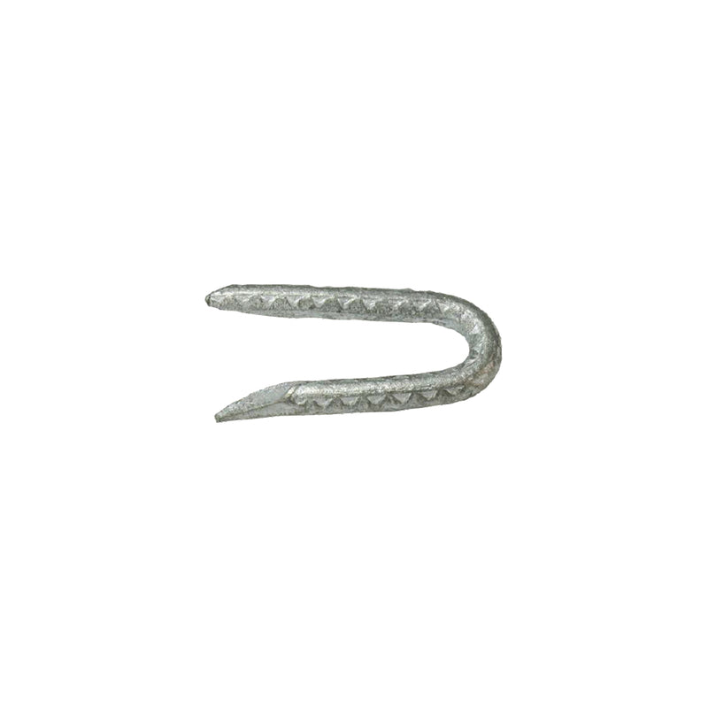 FNCE STAPLES 1.75" 1#