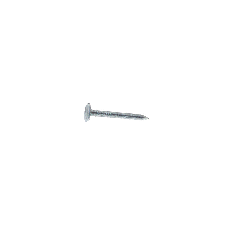 ROOF NAIL FLT 1.25" 1#