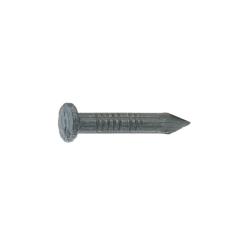 NAIL MSN BRT 2.5" 1#