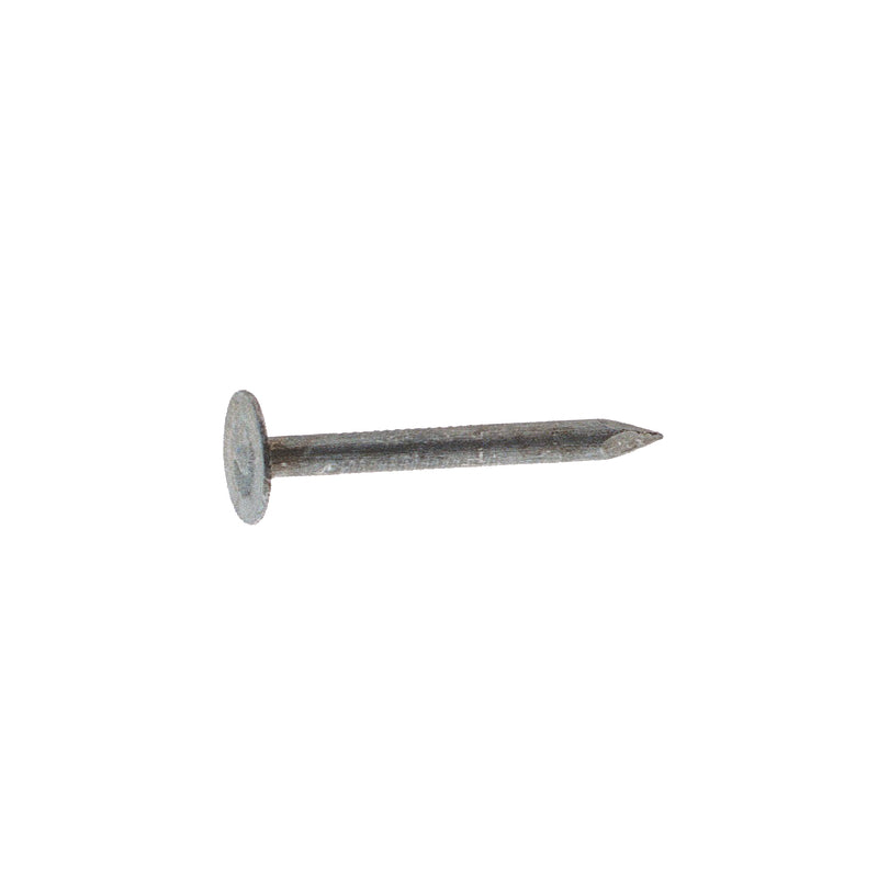 ROOF NAIL EG 2" 30#