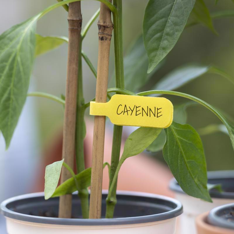 Wrap-It Cable Labels 2.25 in. L Assorted Polypropylene Cable Labels